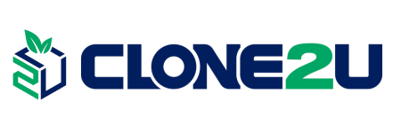 Cannabis Clones Online
